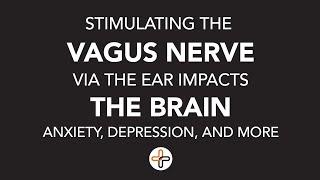 Stimulating the Vagus Nerve via the Ear Impacts the Brain - Anxiety, Depression, and More