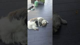 파타야 애비뉴의 맥도날드..