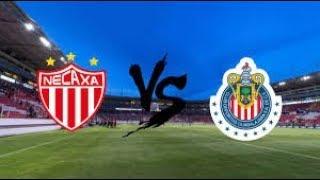 Chivas vs. Necaxa EN VIVO live stream