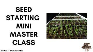 How to Start Seeds: Mini Masterclass - Growing From Seeds | Big City Gardener