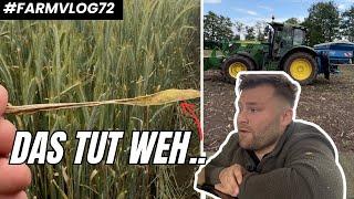 Mein Roggen ist verrostet.. Harnstoff düngen im Mais! FARMVLOG #72