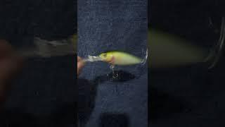 Shake sound Megabass Deep X 300 crank bait bass fishing lure