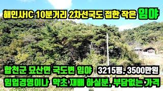 [합천군 묘산면] 작고 부담없는 가격의 임야매매. 2차선국도 접하고 구거접한 임야이며 임업경영이나 약초 재배용도의 임야.합천군 임야매매.합천부동산.대구부동산.거창부동산.고령부동산.