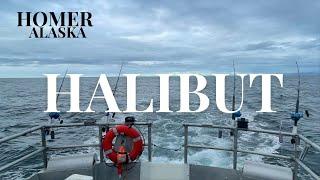 Halibut Fishing // Homer Alaska!