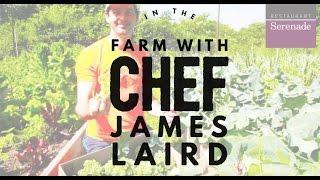 In The Farm with Chef James Laird of Restaurant Serenade