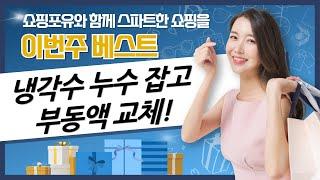 자동차 냉각수  누수 해결! 부동액 교체 DIY (feat. 비오랩, 벤츠)