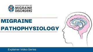 Migraine Pathophysiology - Chapter 3 - Migraine Explainer Video Series