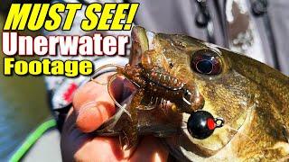 Bass Fishing's Best Kept Secret for Fall and Winter Revealed!