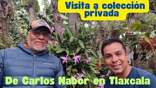 Visita a colección de orquídeas de Carlos Nabor en Tlaxcala, México.