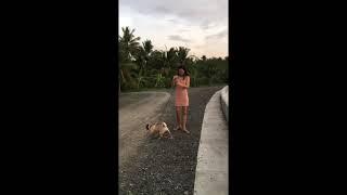 Pug’s Routine at Buenavista Dike | Synemie Yara