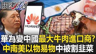 Huawei becomes China’s largest “beef importer”! ?