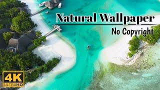 NATURAL WALLPAPER| Free Stock Footage | Free 4K ULTRA HD Video-no copyright