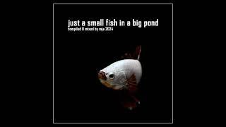 just a small fisch in a big pond  - (progressive house) - mixed by mja music switzerland - 2024