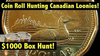 Coin Roll Hunting $1,000 in Canadian Loonies - Can we find a rare one?!