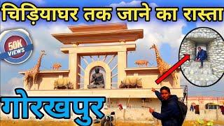 गोरखपुर चिड़ियाघर || Gorakhpur zoo|| gorakhpur zoo opening|| by nitish tripathi