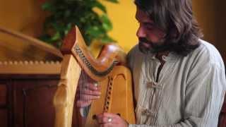 Interview  Vicente La Camera Mariño early Irish and Scottish harps