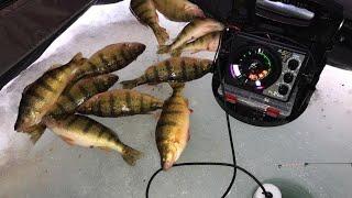 Ice Fishing PERCH on Devils Lake - Quick Limit