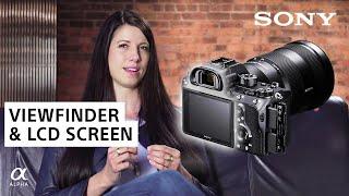 Navigating Ambient Light with Viewfinder | Sony Alpha Universe