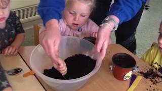 Pecynnau Gwaith Cartref Dechrau’n Deg- Blodau Haul/Flying Start Homework Packs – Sunflowers