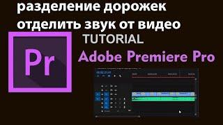 Разделение дорожек отделить звук от видео в Adobe Premiere Pro