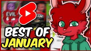 Best of Redvelvety - January 2022 (Minecraft Shorts)