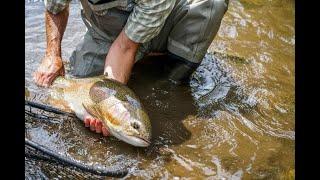 Top 10 Trout Fishing Paradises in Colorado