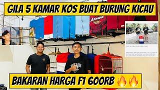 REVIEW GACORAN KANDANG GUDIR SF ‼️semua harga promo lebaran  