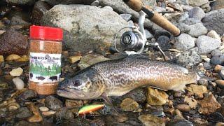 TIGER TROUT CATCH N’ COOK