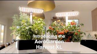 Introducing the AeroGarden Harvest XL