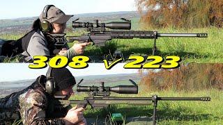 308 win v 223 rem at 1155yards