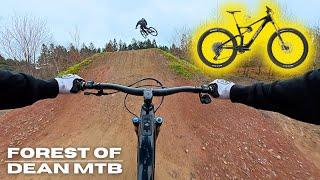 Forest of Dean MTB | Amflow PL Carbon eBike