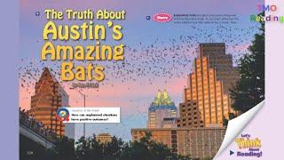 The Truth About Austin's Amazing Bats