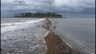 Charles Island Jaw Dropping View! Milford, CT