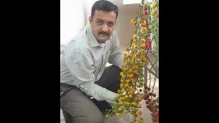 Hydroponics Farming in Pakistan - Pakistan Hydroponics Greenhouse 2021 (Urdu/Hindi)