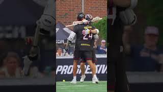 Maryland whipsnakes with the goal