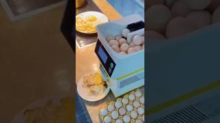 Would You Buy an Omelette Cooking Robot? #robotics #ai #lifestyle