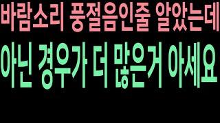 내가들은 소리가 과연 바람소리 풍절음 소리가 맞을까?