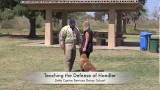 Delta Canine Services, Decoy Training, Decoy School