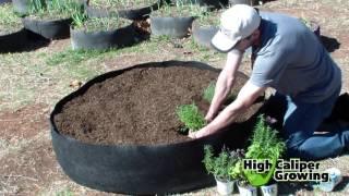 Raised Bed Gardening in Smart Pots