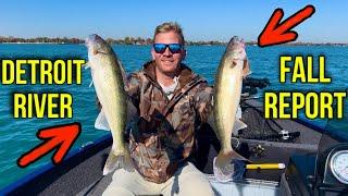 Detroit River FALL Walleye Fishing REPORT | Catch and Cook