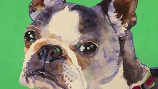 How to Paint Realistic Pets in Watercolor with Cindy Briggs