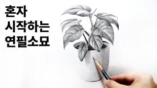 How to draw a leaf