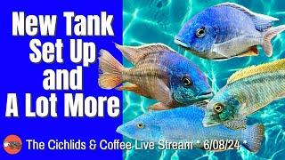 Let's Talk about Beneficial Bacteria and Brand New Tanks!