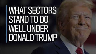 What sectors stand to do well under Donald Trump