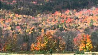 Living Landscapes HD Fall in New England