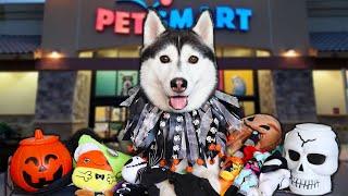 Buying My Dog Everything She Wants  Halloween PetSmart Haul