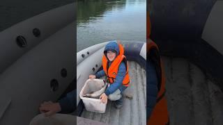 Жора убивает рыбу,слабонервным не смотреть #камчатка #fishing #туризм