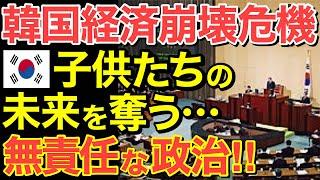 【海外の反応】隣国経済崩壊の危機！ 子供たちの未来を奪う無責任な政治の末路…【にほんのチカラ】