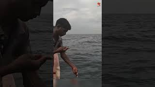 Catching Big Eye Trevally in the Deep Sea #fishing #fishingvideo #fishingtime