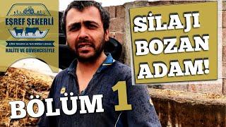 Silajı Bozan Adam 1 #Silaj